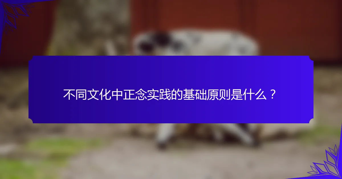 不同文化中正念实践的基础原则是什么？