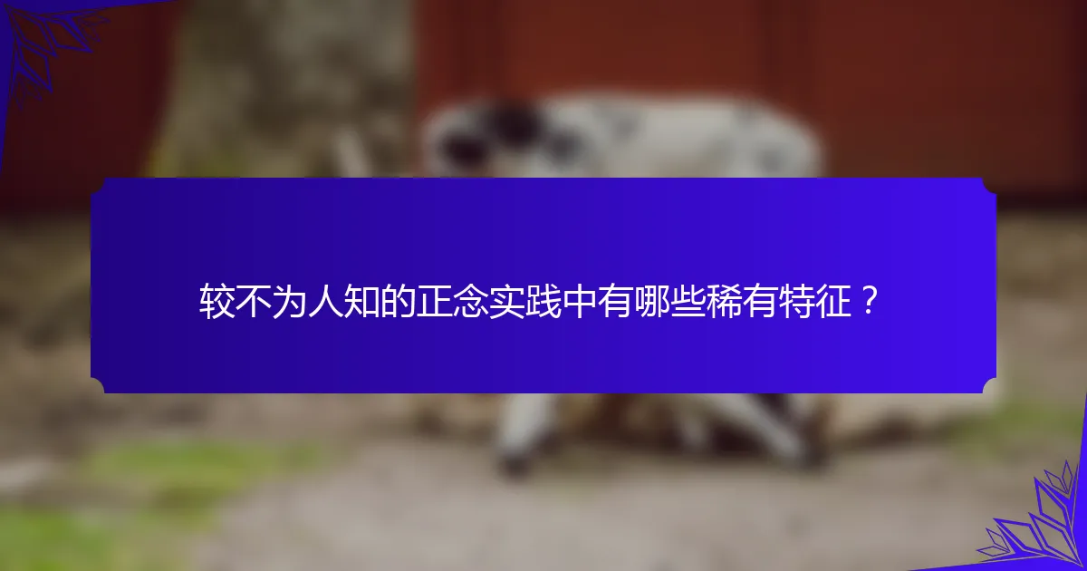 较不为人知的正念实践中有哪些稀有特征？