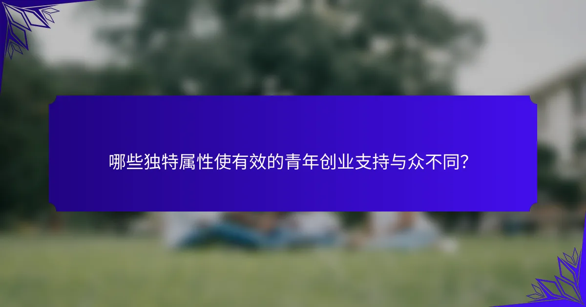 哪些独特属性使有效的青年创业支持与众不同?