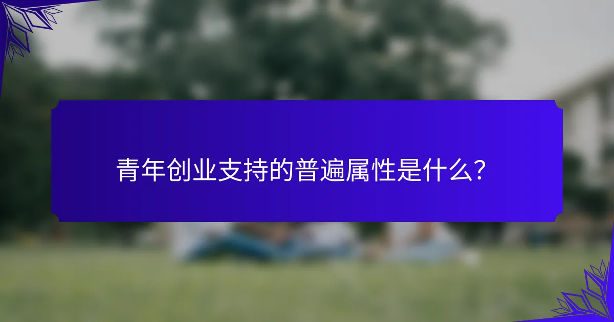 青年创业支持的普遍属性是什么?